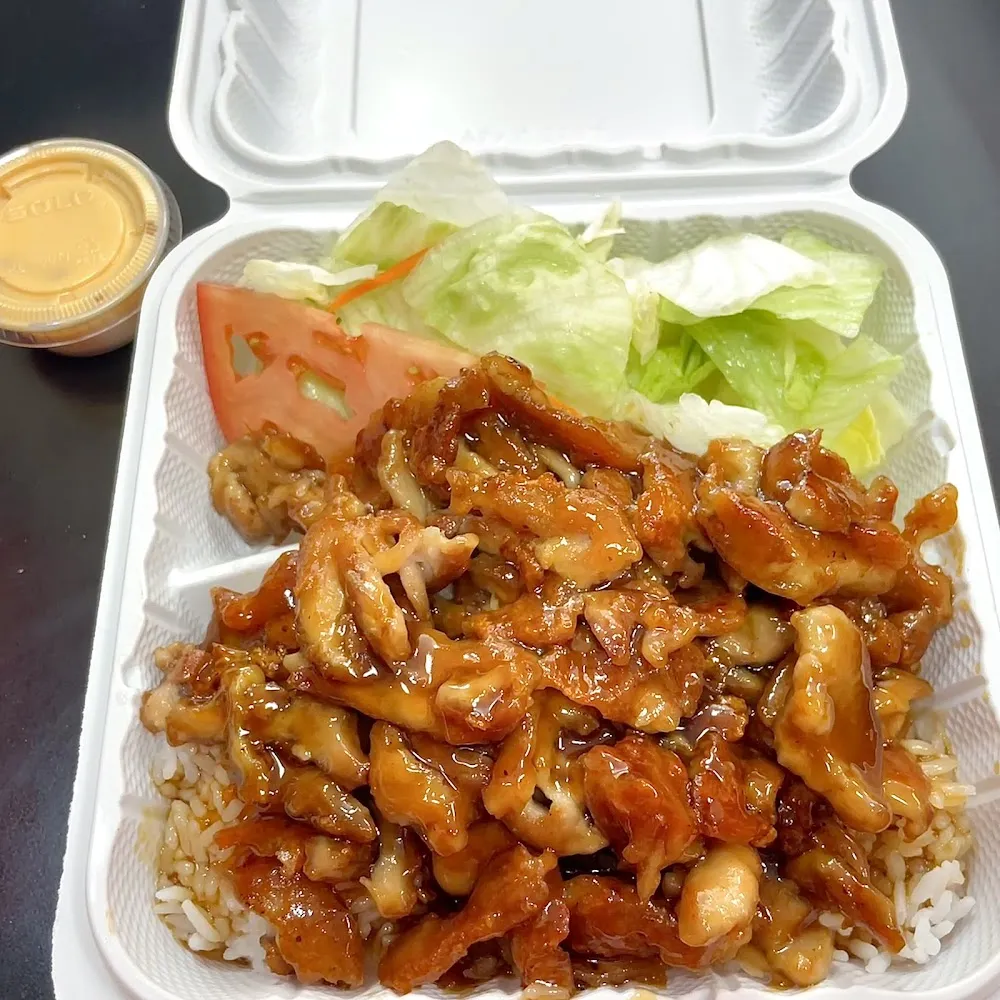 Chicken & Beef Teriyaki