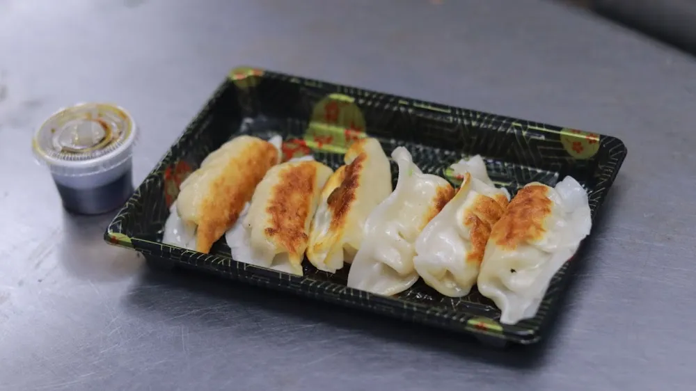 Japanese Dumplings 6